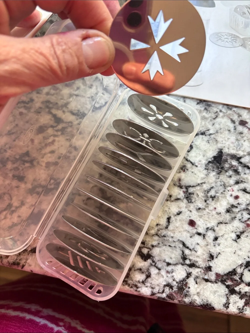 Oxo Good Grips Cookie Press with recipes and 12 discs. Used one time.